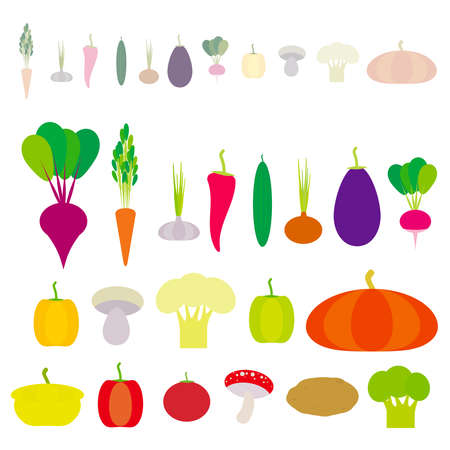 Set of vegetables bell peppers, pumpkin, beets, carrots, eggplant, red hot peppers, cauliflower, broccoli, potatoes, mushrooms, cucumber, onion, garlic, tomato, radish isolated on white. Vector illustrationのイラスト素材