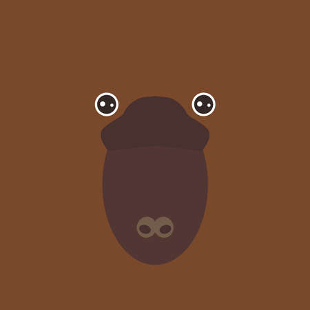 australian platypus funny face on brown background. Vector illustrationのイラスト素材