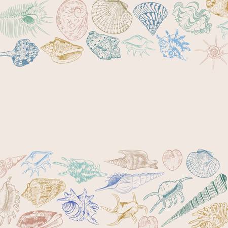 composition Summer concept with Unique museum collection of sea shells rare endangered species, molluscs Khaki blue green brown contour on beige background. card banner design. Vector illustrationのイラスト素材