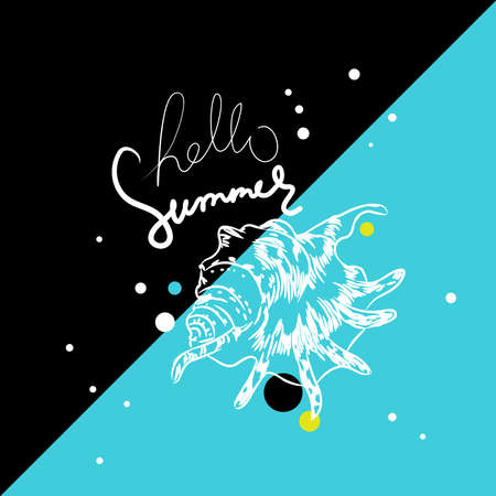 Lambis spider conch Chicoreus aculeatus, shell sea snail Hello summer card banner. Sketch contour on black blue background. Vector illustrationのイラスト素材