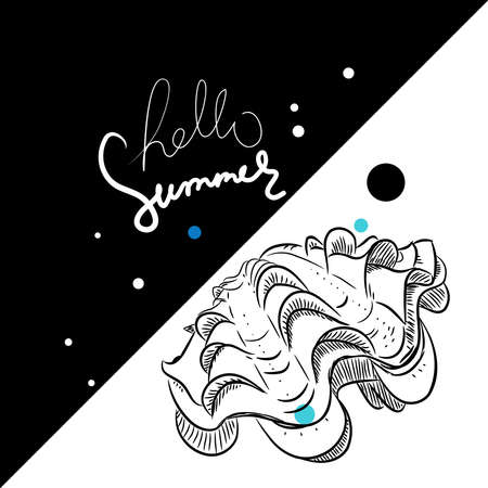 Hello summer card banner. tridacna squamosa, bivalves are a large class of molluscs, also known as pelecypods. Sketch black contour on blue white background. Vector illustrationのイラスト素材