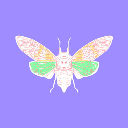 Cicada butterfly sketch, orange green white contour purple lilac on background. simple art. Can be used for Card banner template, copy space. Vector.のイラスト素材