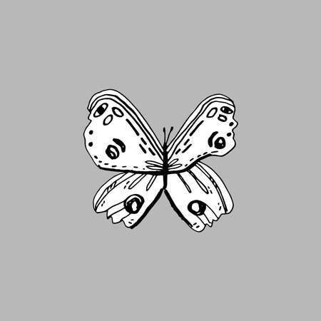 card banner poster, butterfly. sketch markers, freehand drawing doodle lines scandinavian style background grunge texture Nursery decor trend of the season, black white gray. Coloring book. Vector illustrationのイラスト素材