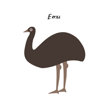 cute Kawaii Australian Emu, isolated on white background. Can be used for cards for preschool children games, learning words. Vector illustrationのイラスト素材