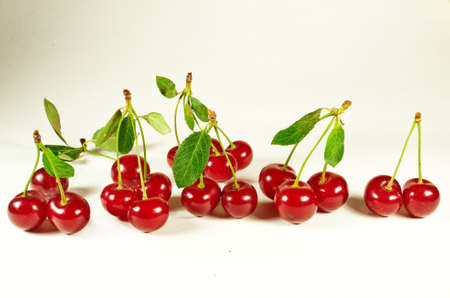 cherryの写真素材