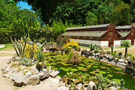 Botanical garden  Rio de Janeiroの写真素材