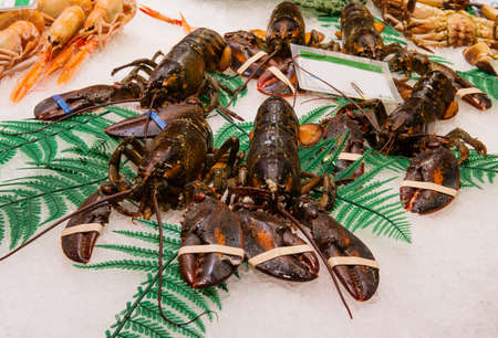 Fresh great crabs, shrimps and lobster at the market La Boqueria in Barcelona の写真素材