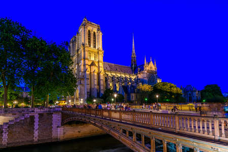 Night view of Cathedral Notre Dame de Paris and Pont au Double in Paris, Franceの写真素材