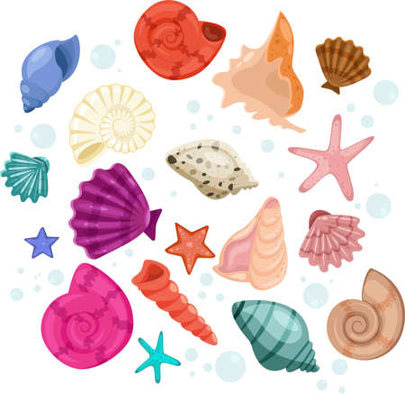 set of colored sea shellsのイラスト素材