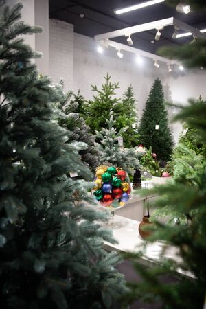 Christmas tree. Blue spruce branches on a textured background. Blue spruce, green spruce, white spruce. Artificial Christmas Tree, Blue Christmas Treeの写真素材
