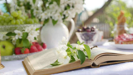 Close-up of a book on a table in the garden against the background of a blooming apple tree.