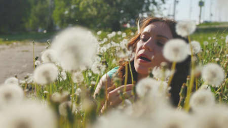 pretty curly woman will enjoy a warm summer day in a field of dandelions
