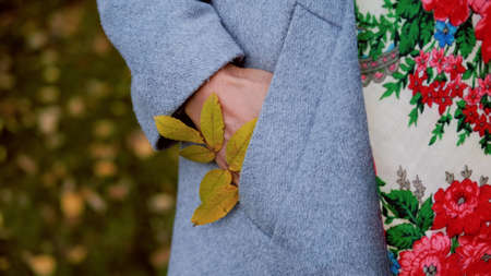 close-up of a hand with a branch of rowan in the pocket of a warm autumn coat.の写真素材