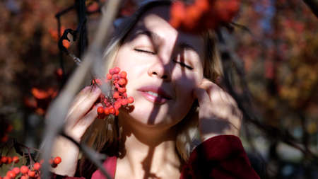 Young beautiful blond woman in the rays of the sun on a background of rowan branches in autumn. Autumn atmosphere and moodの写真素材