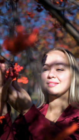 Young beautiful blond woman in the rays of the sun on a background of rowan branches in autumn. Autumn atmosphere and moodの写真素材
