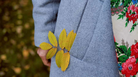 close-up of a hand with a branch of rowan in the pocket of a warm autumn coat.の写真素材