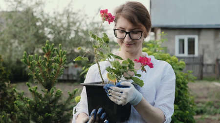 Happy woman gardener holding flowers smiling at camera while working in her garden in springの写真素材