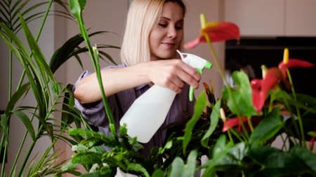 A woman takes care of indoor plants, sprays water on home flowers.
