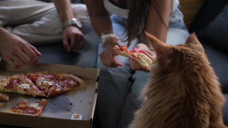 Man and woman eat pizza at home. Ready meal delivery concept. Fast foodの写真素材