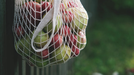 View of fresh juicy apples in an eco-bag on a garden fence on a summer day. Eco products in a bag.の写真素材
