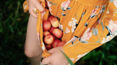Collection of apples. Mom and little daughter pick apples. A cute girl is waiting for her mother to...