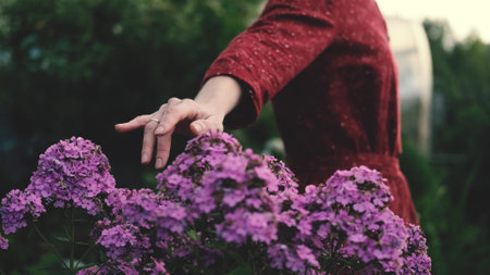 A womans hand gently touches the top of a purple flower field in the light of the evening sun.