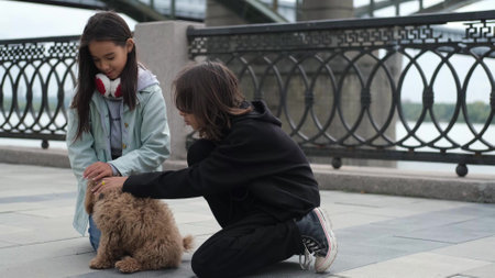 Two little sisters went for a walk with a cute brown curly dog. Children playing with a poodle outdoorsの写真素材