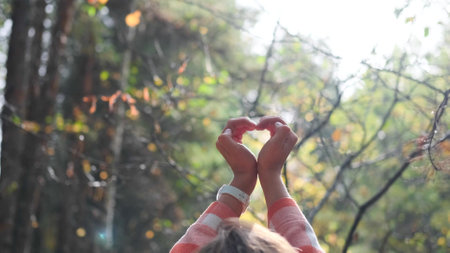 A woman folded her hands in the shape of a love heart while walking through the forest. Showing love for natureの写真素材