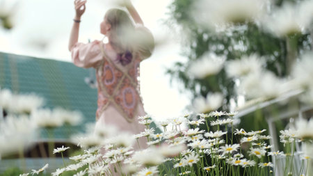 The silhouette of a happy woman who dances, spins and raises her hands to the sky against the background of white daisies in the backyard. A woman is enjoying a beautiful summer day.の写真素材