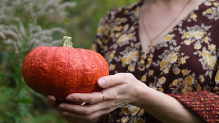 Womens hands hold an orange pumpkin against the backdrop of an autumn forest. Autumn comfort concept, Halloween, Thanksgivingの写真素材