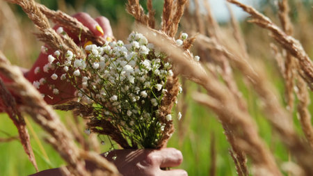 A hippie girl stands in a field with tall grass. Woman holding a bouquet of small flowers of gypsophila wild flowers in her handsの写真素材