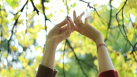 Close-up of two happy womens hands dancing in nature on an autumn day. The womens hands are raised...