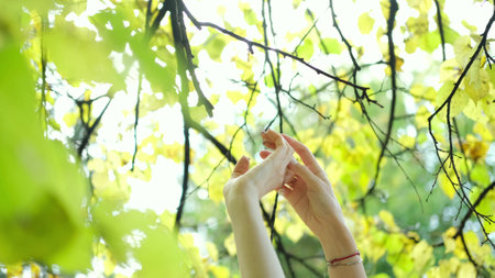 Close-up of two happy womens hands dancing in nature on an autumn day. The womens hands are raised up and move to the music against the backdrop of autumn trees. Religion concept, lifestyleの写真素材