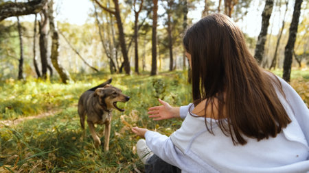 Young woman walking with a dog in an autumn forestの写真素材