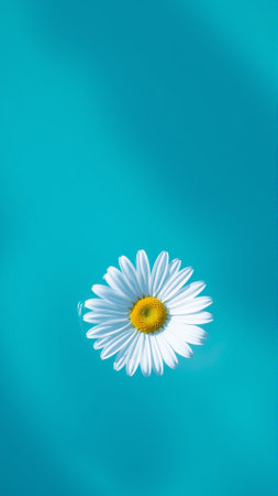 Chamomile flower floating in waterの素材