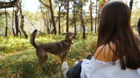Young woman walking with a dog in an autumn forestの写真素材