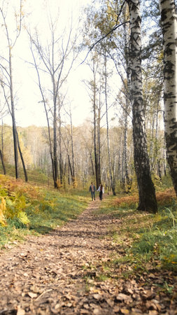 A young man and a girl in love are walking in an autumn park on a sunny autumn day.