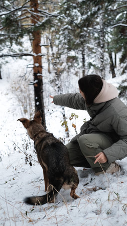 A young woman walks through a winter pine forest with her dog