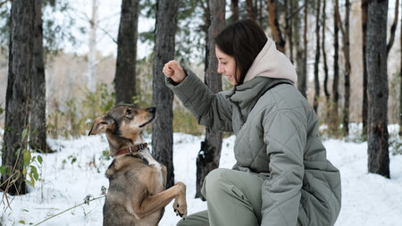 A young woman walks through a winter pine forest with her dogの写真素材