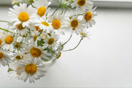 bouquet of daisiesの写真素材