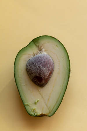 Green tropical half of avocado top view