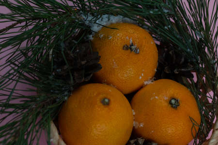 mandarin in a basket with fir branchの写真素材