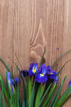 spring flowers on wooden backgroundの写真素材