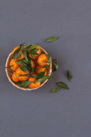 group of mandarins isolatedの写真素材