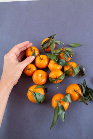 group of mandarins isolatedの写真素材