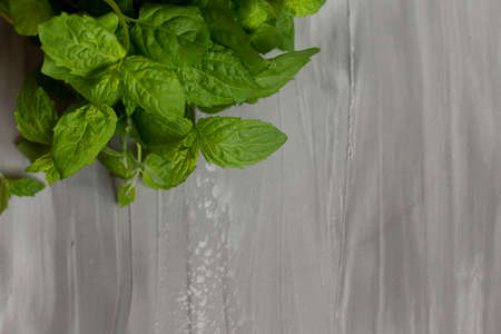 Herbal tea and homeopathy
