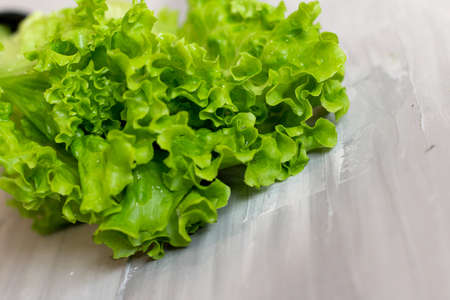 fresh lettuce isolated on gray backgroundの写真素材