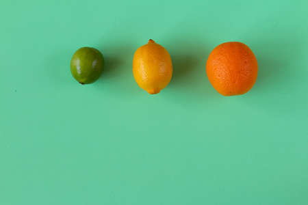 Conceptual bright colorful background with multicolour citrus. space for text.