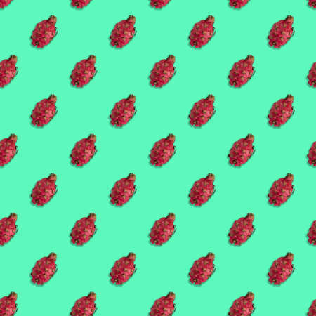 Digital seamless pattern with tropical fruit on green mint background. Repeating elementsの写真素材
