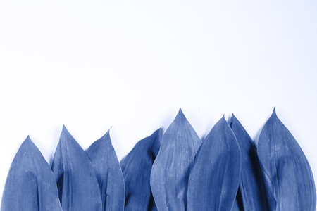 abstract background with copy space for text or image